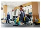 Professional Environmental Housekeeper Services