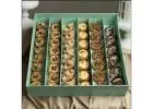 Eid Al Adha Sweet Box – Festive Desserts by Yamanote Atelier