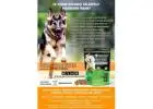 GAME CHANGER-HUMAN GRADE-PATENT PENDING -SOFT CHEW FOR DOGS
