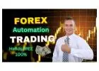 Time Freedom Through Forex: Passive Profits on Demand
