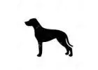 We need a dog walker in Anand Niketan, N. Delhi ( near vasant vihar ) for a friendly female GSD