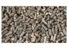 Keep Livestock Healthy With Rapeseed Meal for Animal Feed