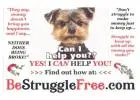 WORK REMOTE USA -UP TO 10K PER MONTH LEADS PROVIDED