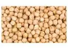 exportateur de pois chiches en vrac