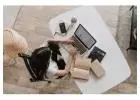 Build a wealthy life with $50 start up!