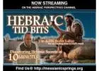 Learn The Bible From A Hebraic Lens