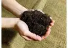 Best Fine grade bark mulch in Newtownallen