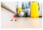 Safe and Reliable Pest Control Services in Lebanon - Velvet Services