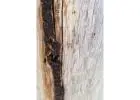 Best Termite Control service in Port Macquarie