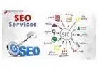 Top SEO Agency In Delhi To Boost Your Online Visibility | Wall Communication