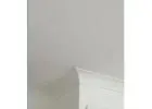 Best Painter in Dulwich