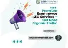 Premium Ecommerce SEO Services – Get More Organic Traffic