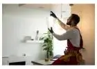Best Lighting Upgrades service in River Ridge