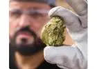 Learn Ethical & Efficient Gold Production Process