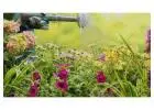 Expert Garden Maintenance Kingsford | Lawn Care You Can Trust