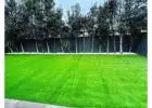 Buy Fake Turf Melbourne Fast Delivery