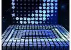 Vibrant DNA Showcases Redefine GCC Events
