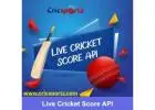 Cricket Data API for Fantasy Platforms & Sports Apps