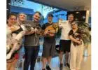 Best service for Dog Training in Mosman