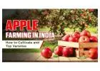 The Varieties of Apples Grown in India