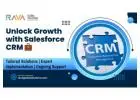 Top Salesforce Partner in USA | RAVA Global Solutions