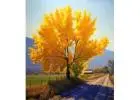 Best Digital Printing in Delhi