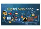 Grow Your Business With The Best Digital Marketing Services In Delhi | Wall Communication
