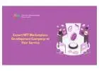 Expert NFT Marketplace Development Company at Your Service