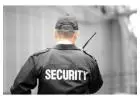 Executive Protection Services