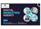 Grow Your Business With The Best Digital Marketing Agency In Delhi | Wall Communication