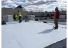 Best Membrane Roofing service in Solway