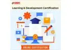 Why Learning and Development Certificates  important in the Digital Transformation Era