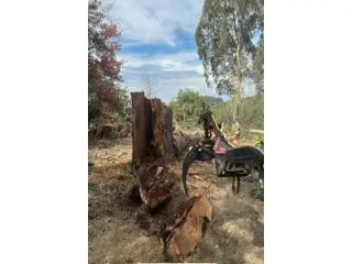 Best Tree Services in Mount Evelyn Best Tree Services in Mount Evelyn