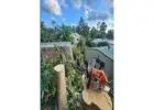 Best Tree Removal service in Gheerulla