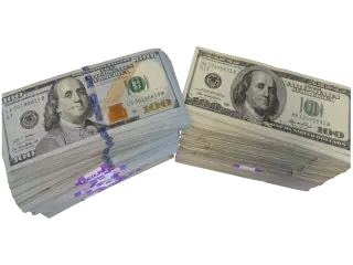 Ride the AI Wave With Us Ride the AI Wave With Us