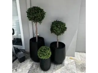 Position Artificial Topiary Trees to Experience Timeless Green Elegance Position Artificial Topiary Trees to Experience Timeless Green Elegance