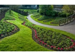 Best Landscape Design service in Bradenton Best Landscape Design service in Bradenton