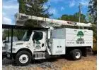 Hazardous Tree Removal in Santa Rosa