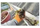 Professional Gutter Vacuum Cleaning Services in Canberra