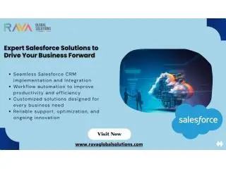 Drive Business Success with the Best Salesforce Partner in USA Drive Business Success with the Best Salesforce Partner in USA