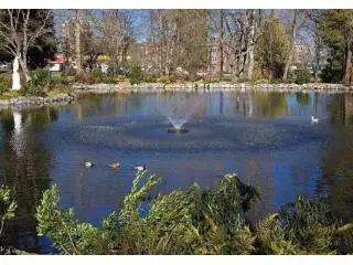 Pond Maintenance & Pond Supplies Pond Maintenance & Pond Supplies