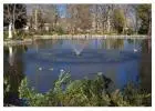 Pond Maintenance & Pond Supplies