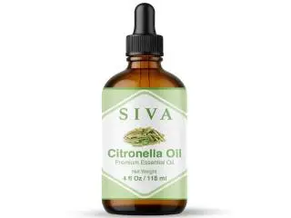 Buy the Best Citronella Essential Oil Buy the Best Citronella Essential Oil