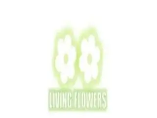 Same Day Flower Delivery Rosanna Same Day Flower Delivery Rosanna