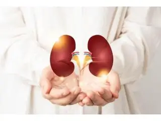 Kidney Transplant Surgery In India | Maddadgar Foundation Kidney Transplant Surgery In India | Maddadgar Foundation