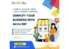 RAVA Global Solutions – E-Commerce ERP with Warranty Tracking Software