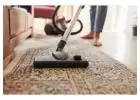 Get a Multi-Brush System with Rug Cleaning Services Adelaide