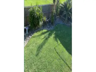 Best Lawn Care service in Green Point Best Lawn Care service in Green Point