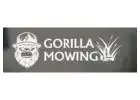 cheap lawn mowing services auckland​--Gorilla Mowing