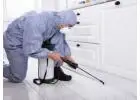 Comprehensive Home Pest Control Services Vancouver for Safety